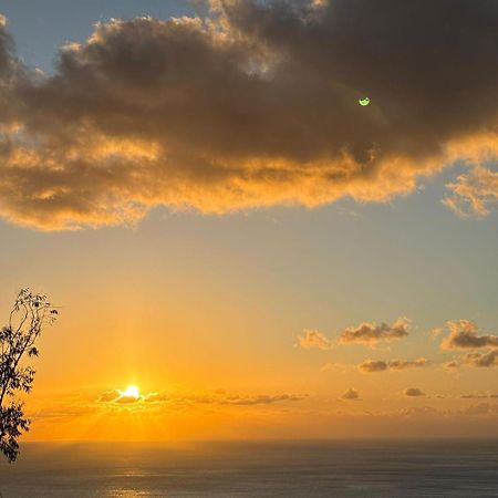 Fincaecoamaro Puerto de Santiago  Dış mekan fotoğraf